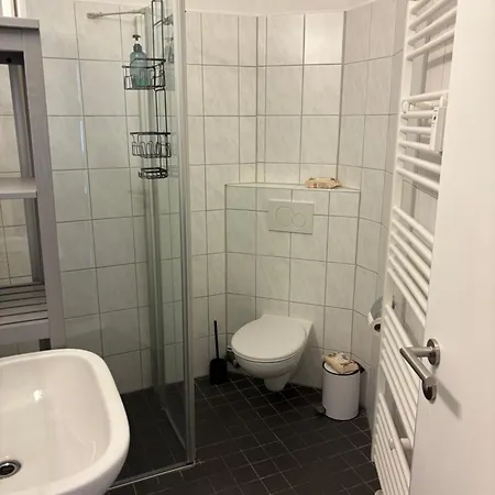 Ringflair 布伦瑞克